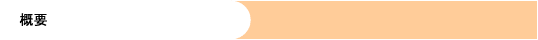 概要