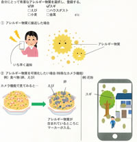 allergy detection(熊本県立宇土高等学校 2年　)